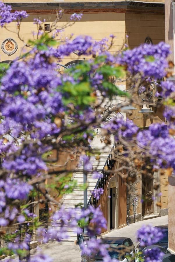 Apartment Castello House *